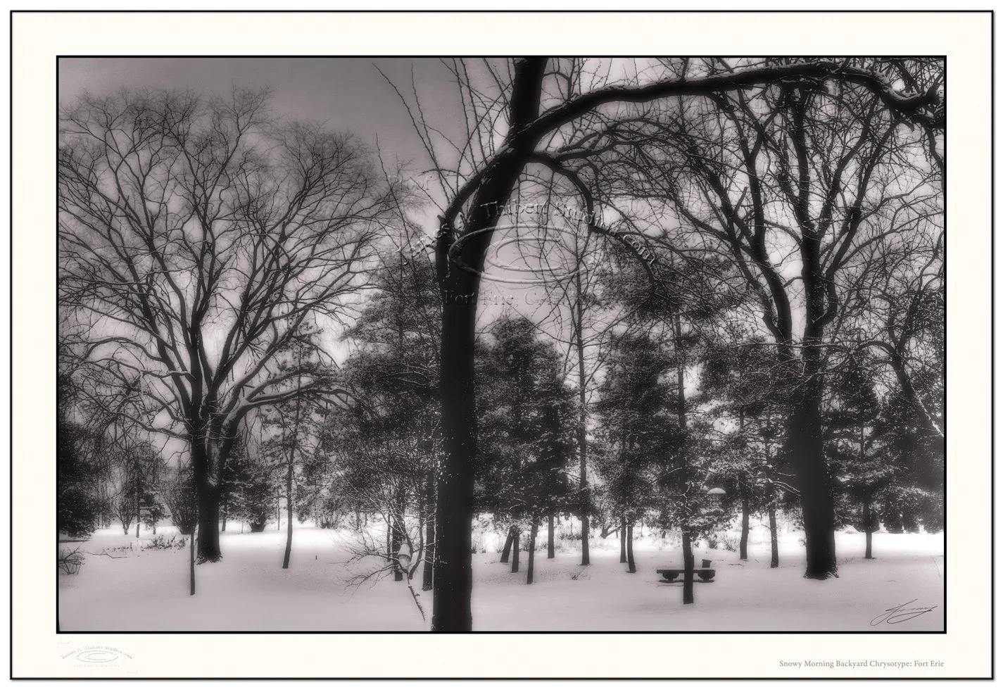 10Beatrice-snow-backyard__Chrysotype_MG_3203----pan_080225_v1_frame_prepress.jpg