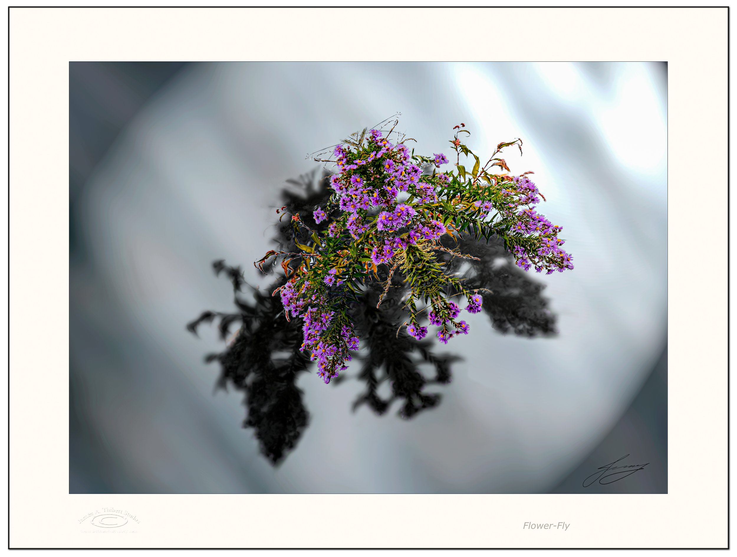 WaterFlower_BUG-final-061205_FRAME copy.jpg