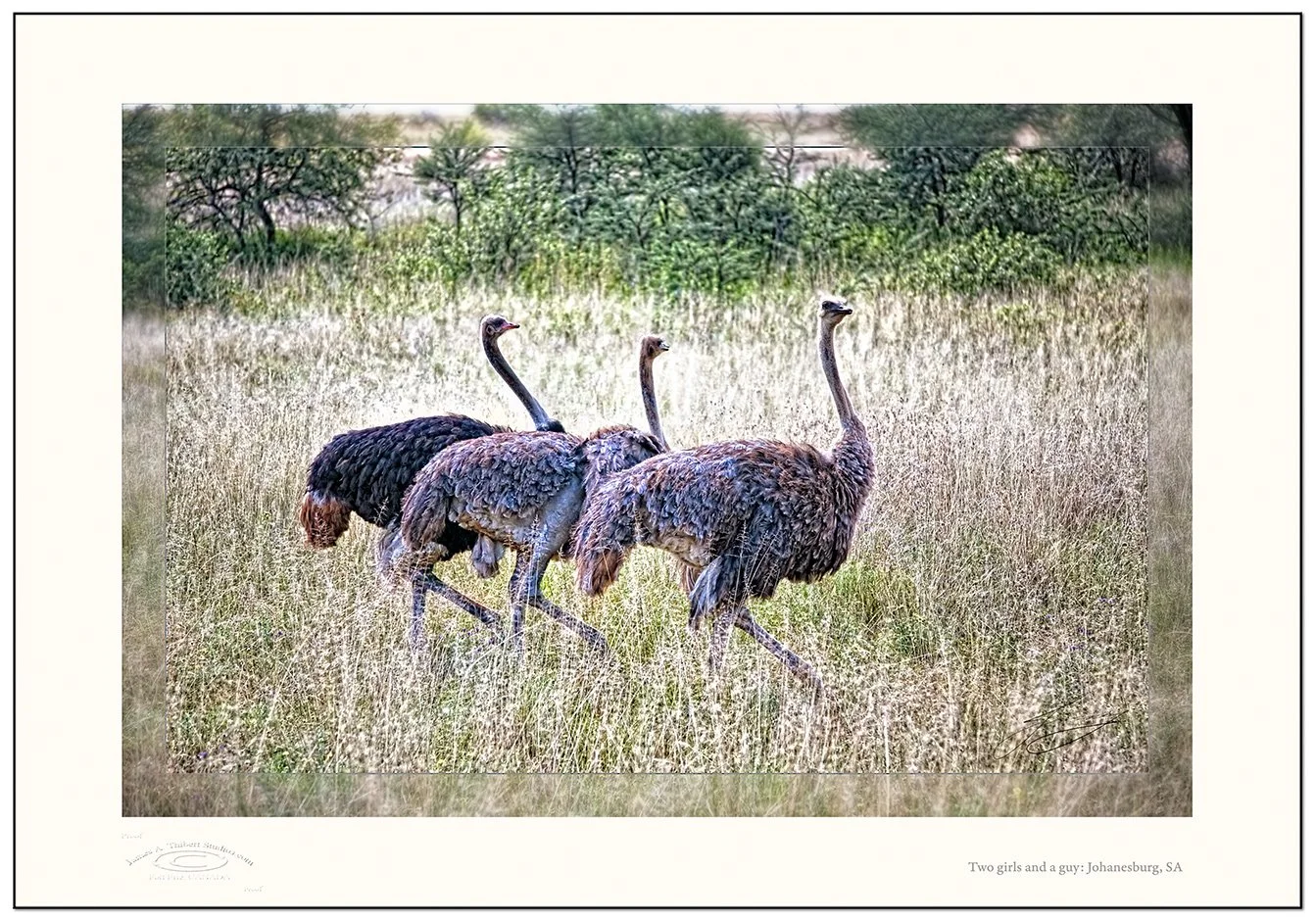 Osterichs-2girsl-1guy_MG_3414-080501_v1-mirror-Frame-prepress.jpg