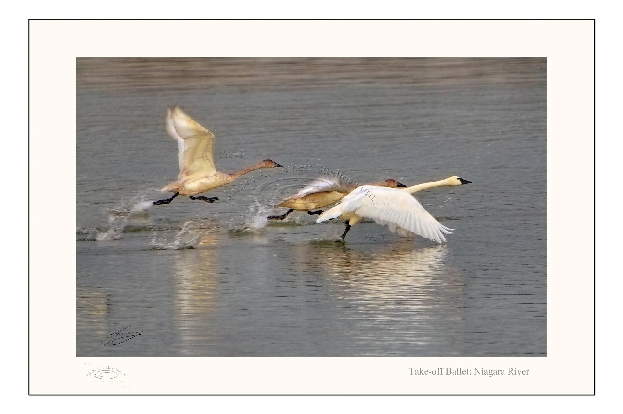 Take-off_Ballet_MG_2217_200XAlien_061216-V1-FRAME.jpg