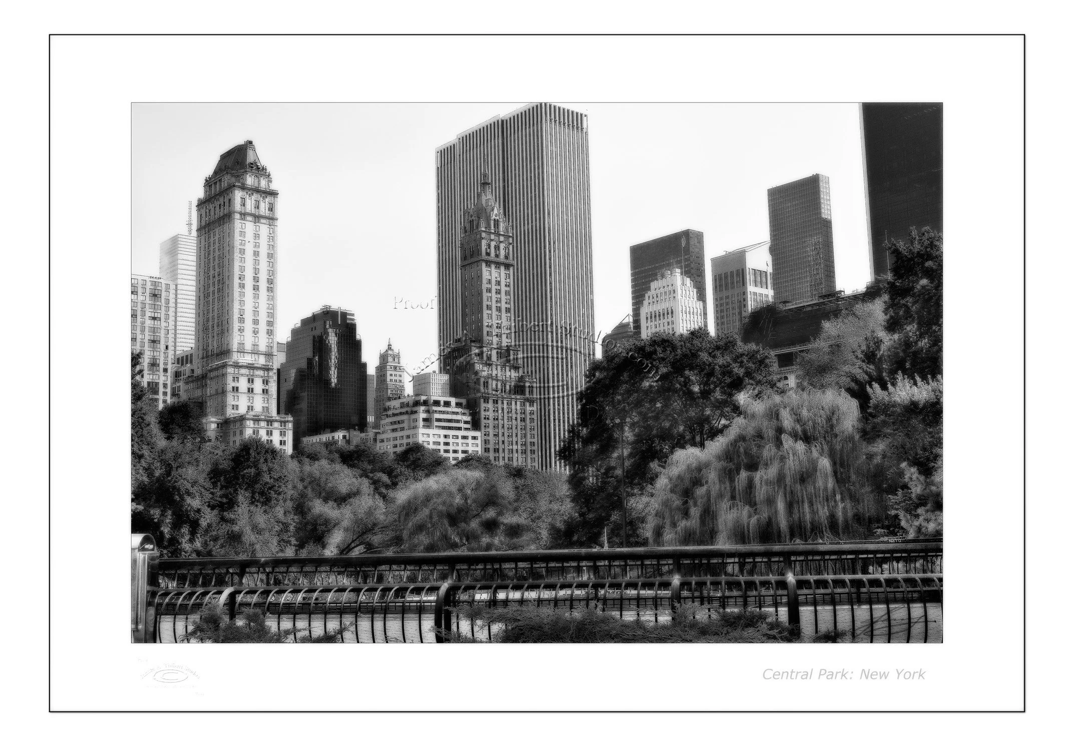 NewYork-view-from-CentralPark_MG_0800-061207_v1_B&Wmidnite-FRAME_prepress.jpg