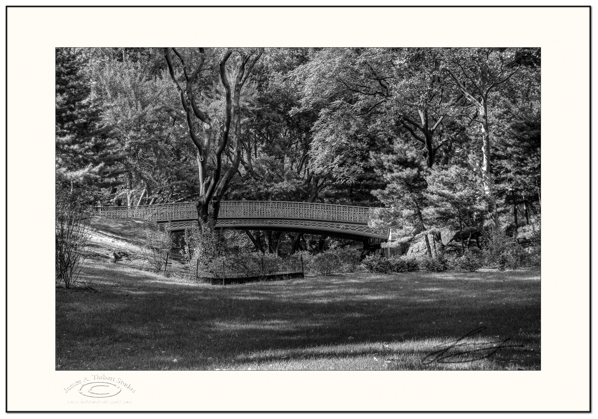 CentralParkBridge_MG_0789-Colour_FRAME-prepress-sm copy.jpg