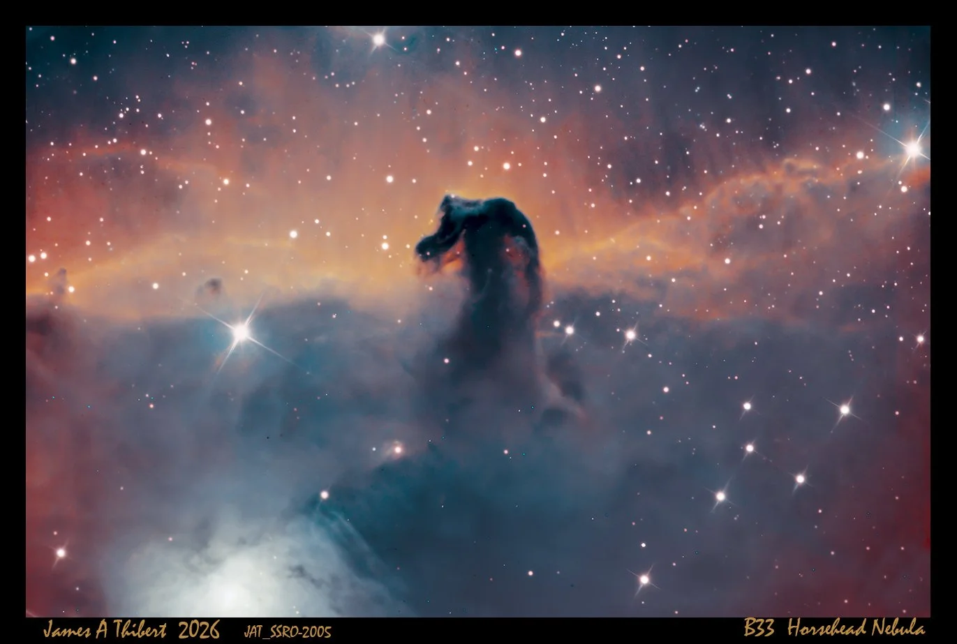 B33-Horsehead