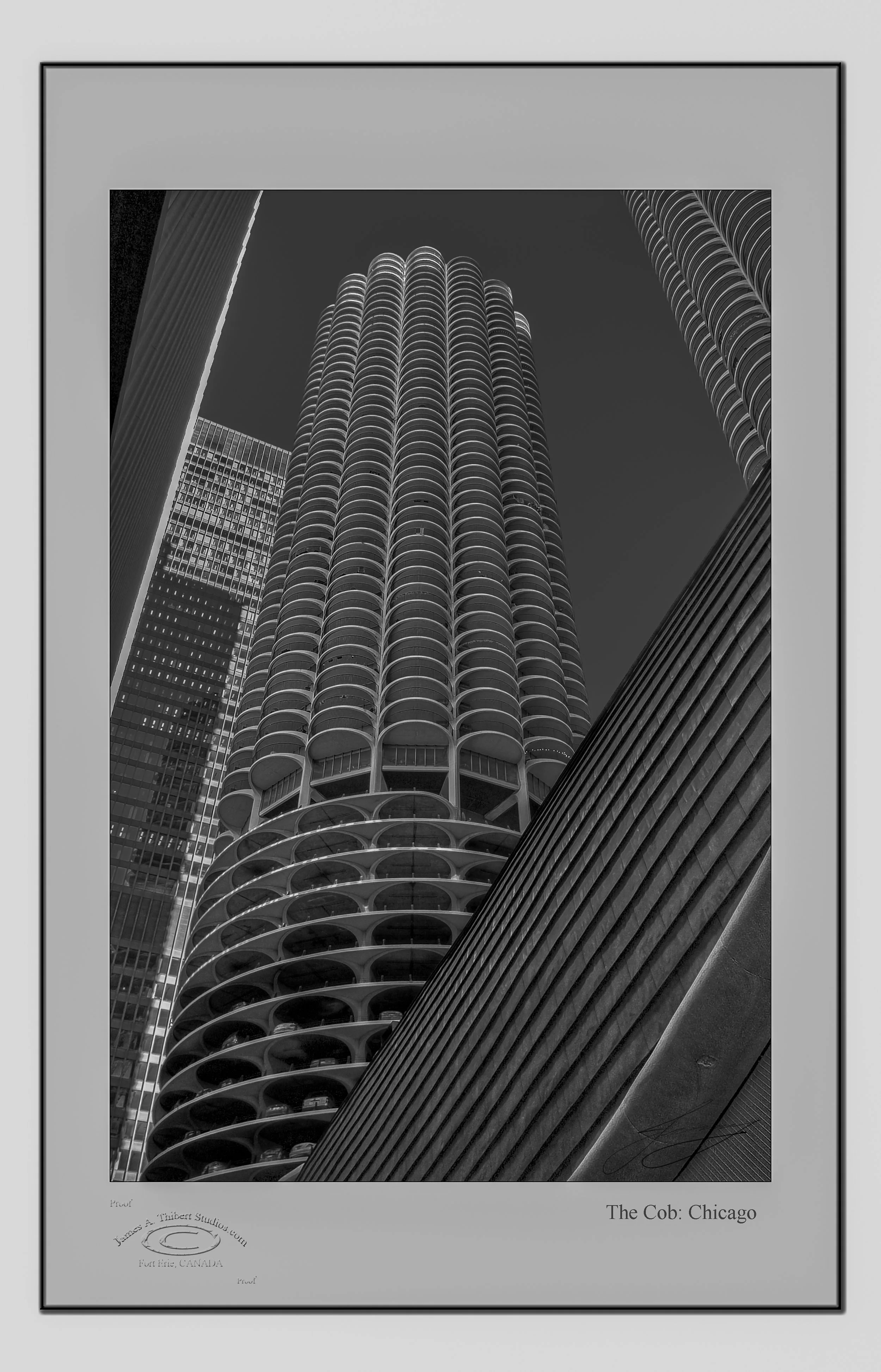 Cob-Chicago-close_MG_4154-070221-V1 copy.jpg