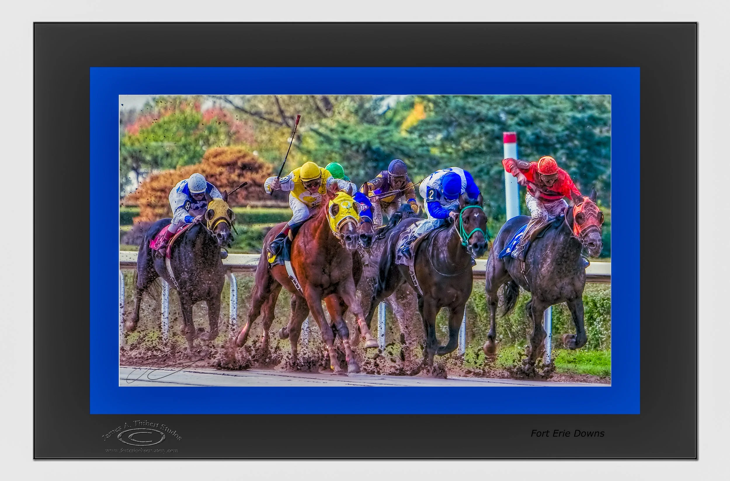 6Horse-race5_MG_1070-FortErieDowns_061205_v1_FRAME copy.jpg