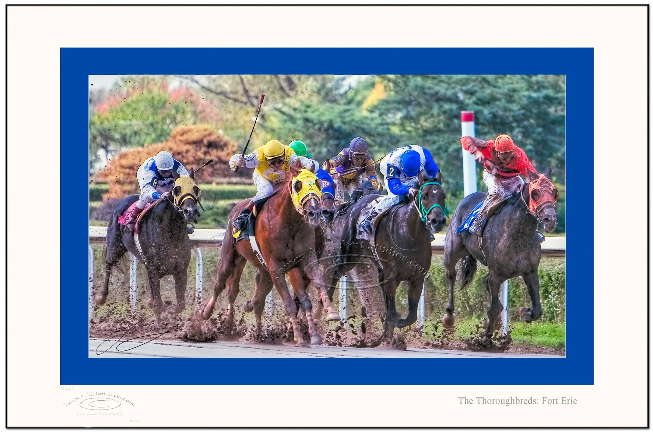 6Horse-race5_MG_1070-FortErieDowns_061205_v1_FRAME-prepress-fixed.jpg