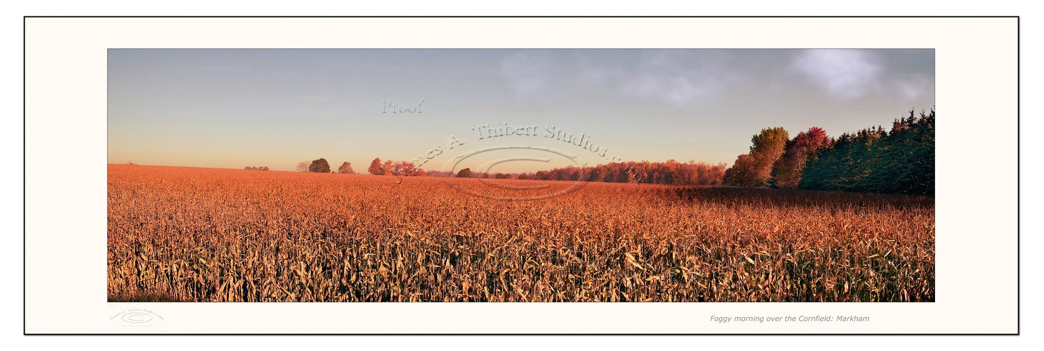 Cornfield-mosaic-Markham-061206_lessRed_FRAME_prepress-fixed.jpg