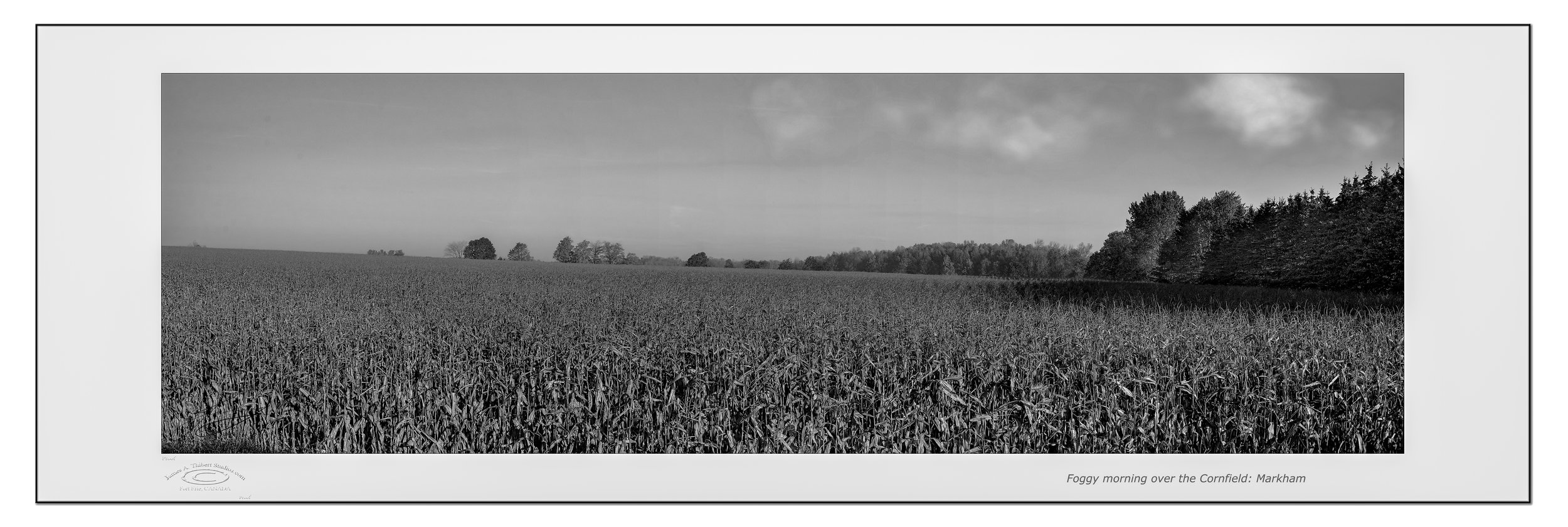 Cornfield-mosaic-Markham-061206_lessRed_FRAME_prepress-fixed copy.jpg