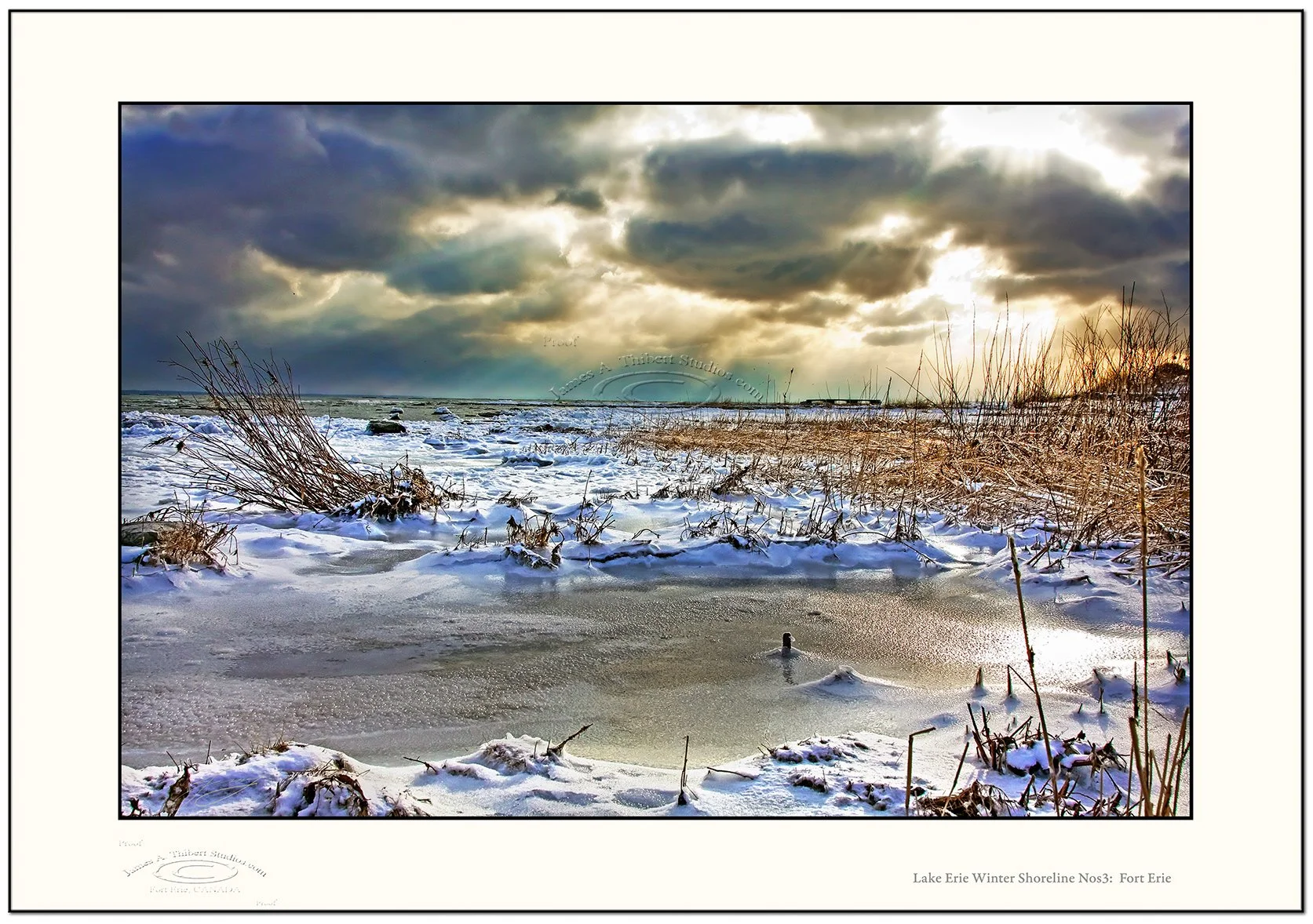 LakeErie-winter-shore-Nos3_MG_1430_080209-_Frame_prepress.jpg