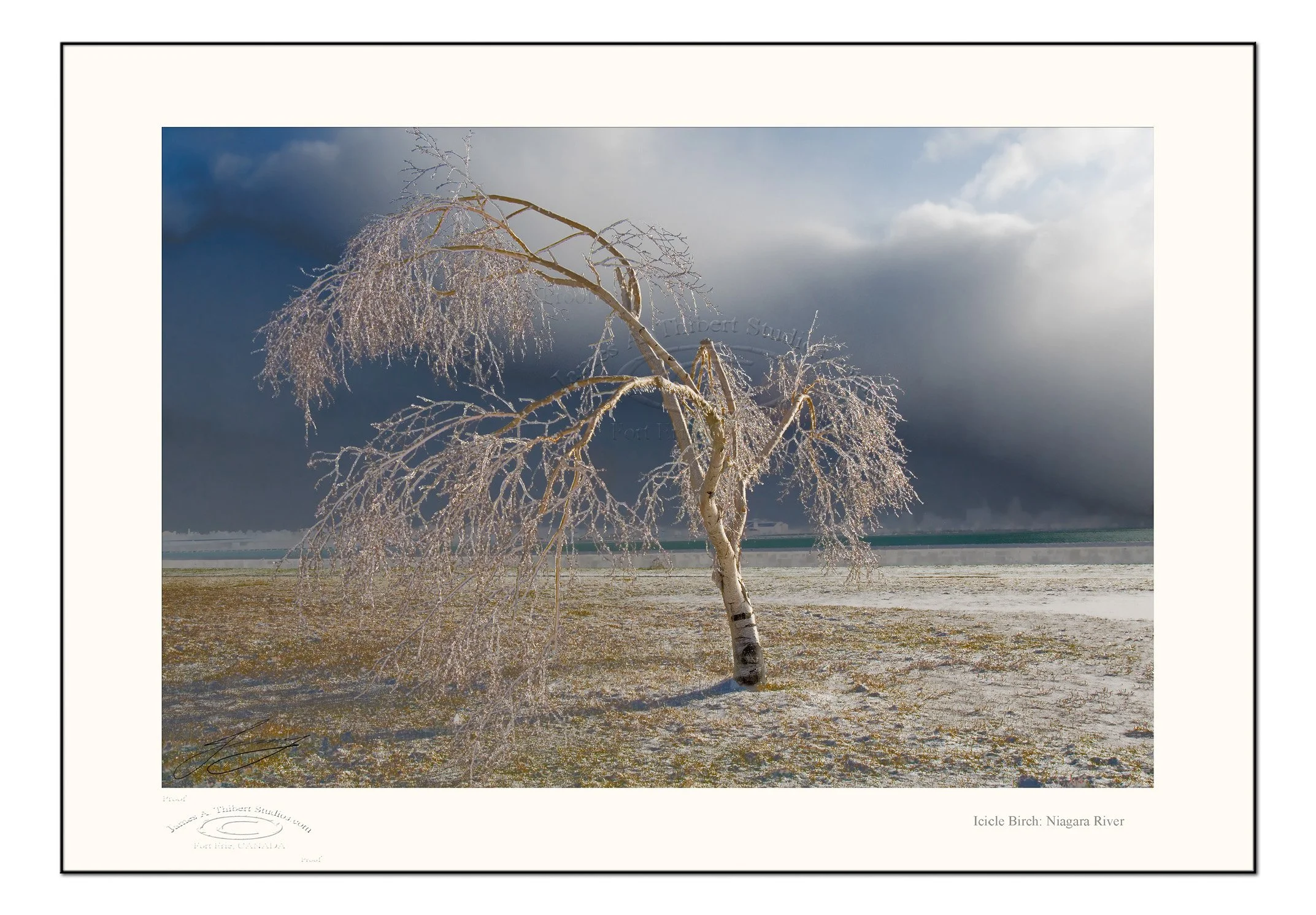 IcicleBirch_MG_3771-070116-V1-FRAME-prepress.jpg
