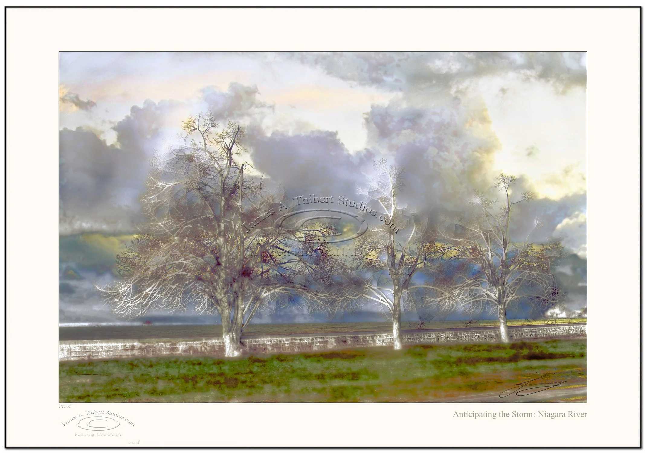 AnticiptingStorm-NPC_MG_3562-070121_V1_RSAjh99-RGB_FRAME-prepress.jpg