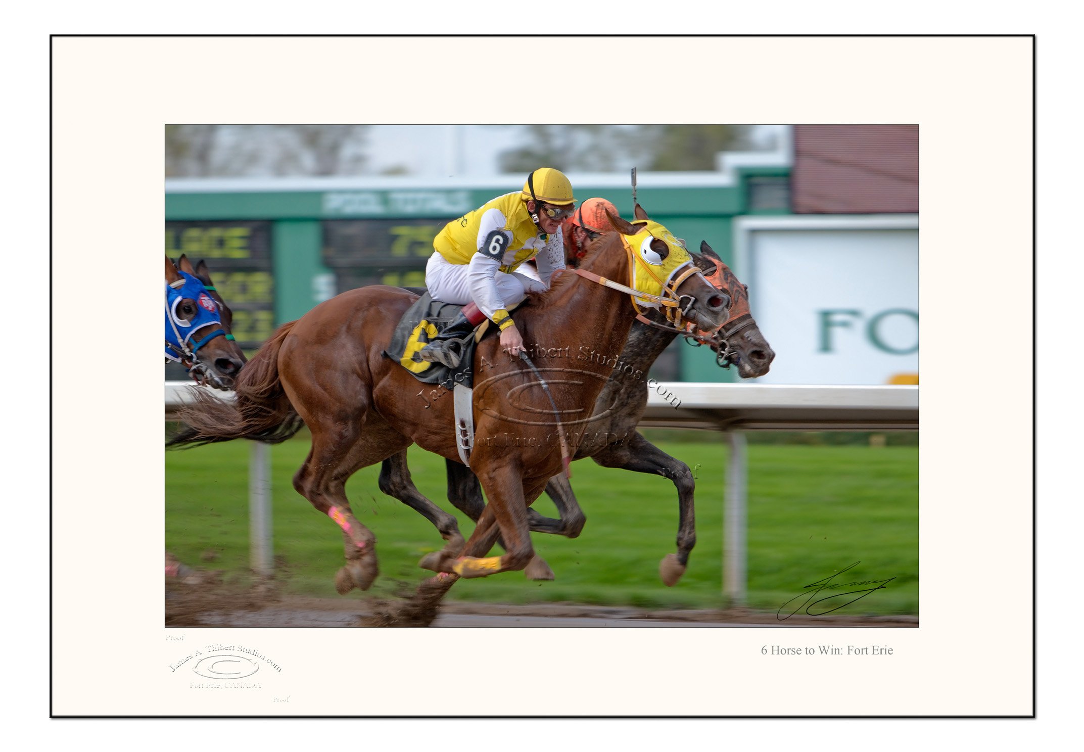 Triptic-Track_MG_1075_9HorseFinish_070126-V1-FRAME.jpg
