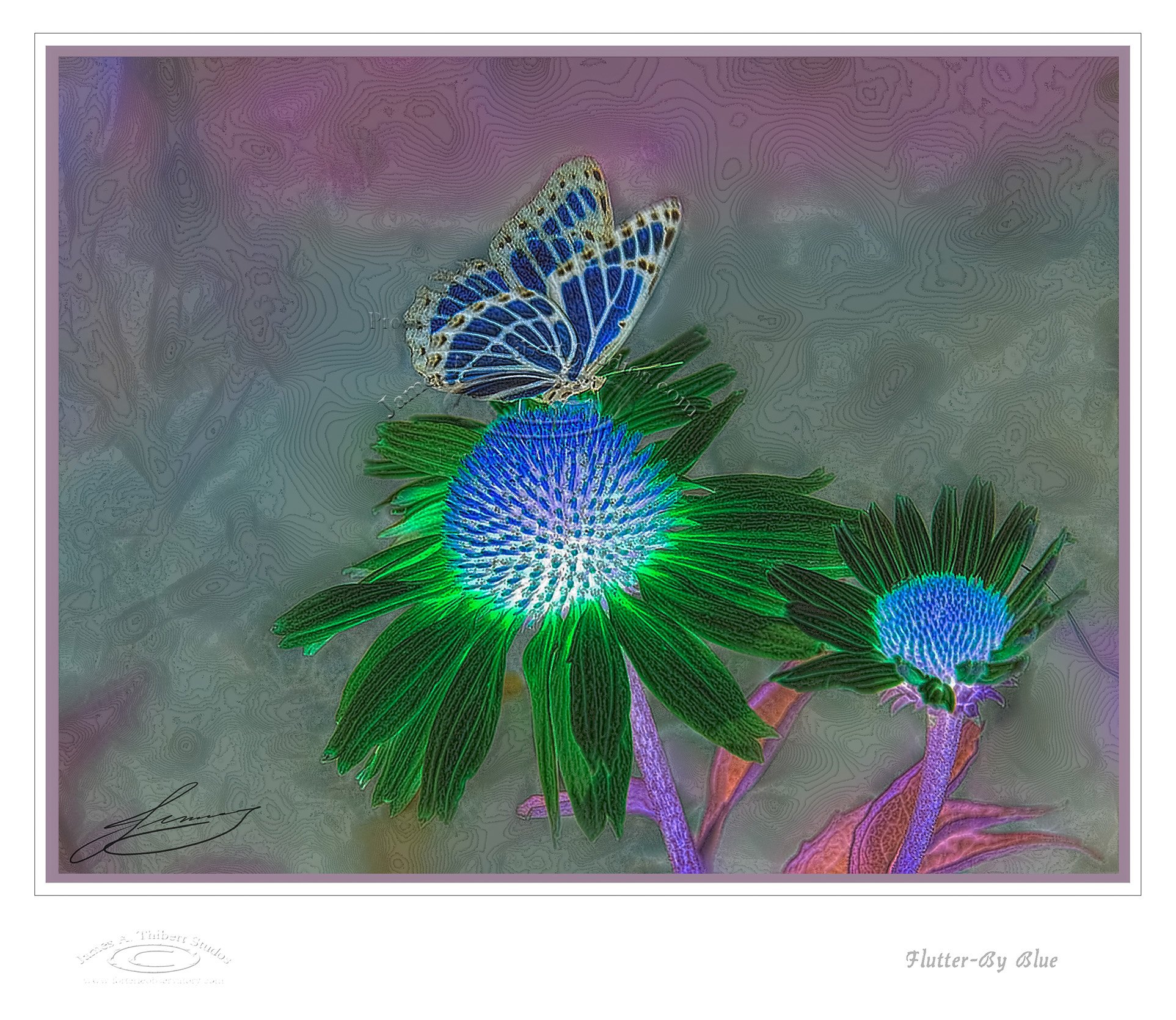 Flutter-By_Blue-061202-V1_FRAME-prepress_200Upsized.jpg