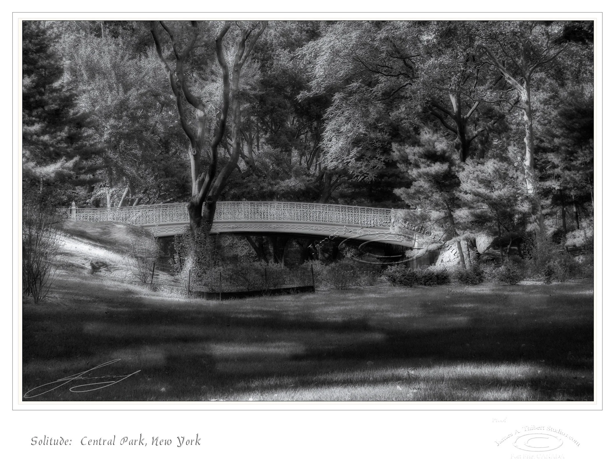 CentralParkBridge-Solitude-B&W_JAT_061201-V2-FRAME_prepress.jpg