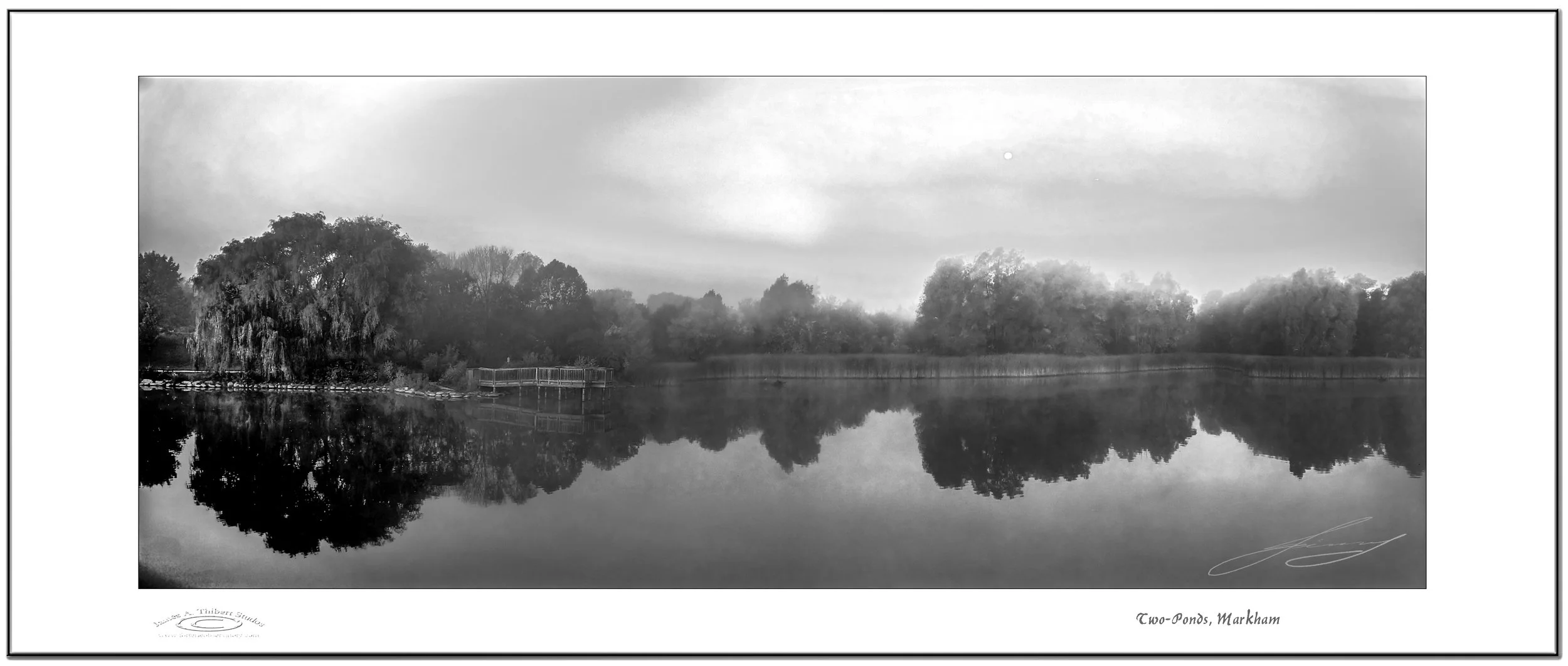 2ponds-mosaic-MASTER-061202_V1_FRAME copy.jpg