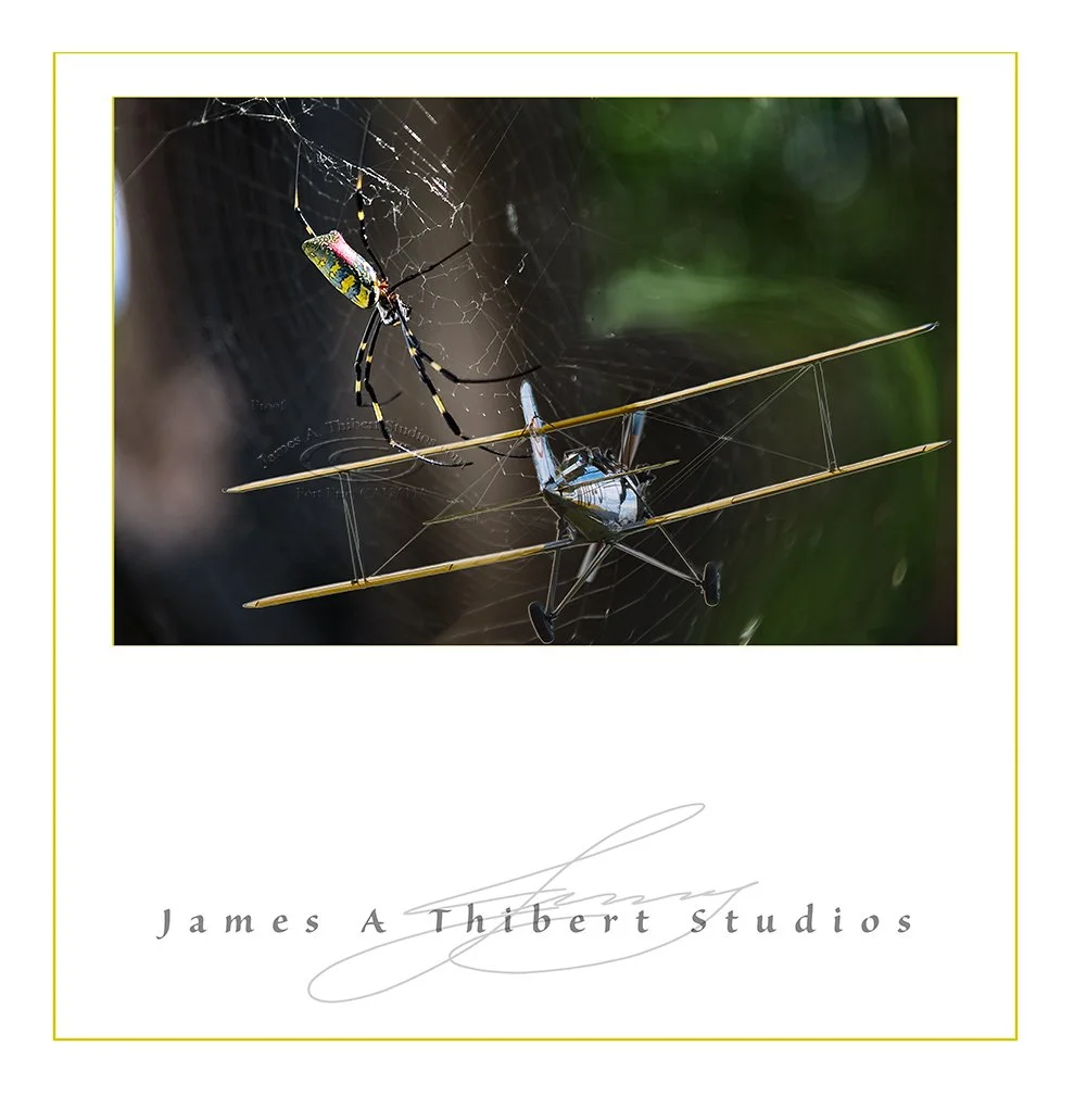 Spider&BiPlane_MG_5775_081105_Pano_Frame.jpg
