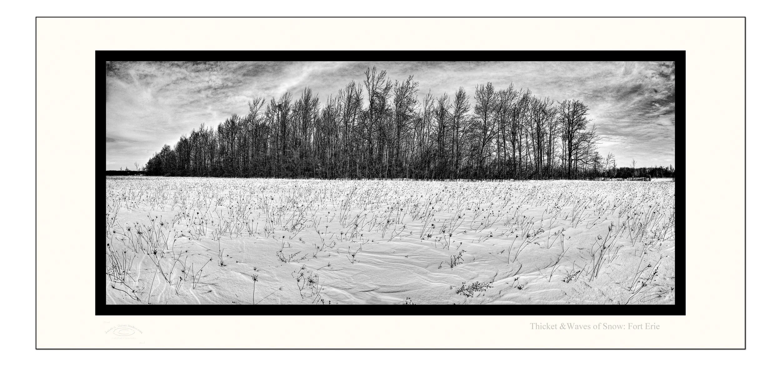 Thicket&Waves-of-SNOW_070217-V1_Frame copy.jpg