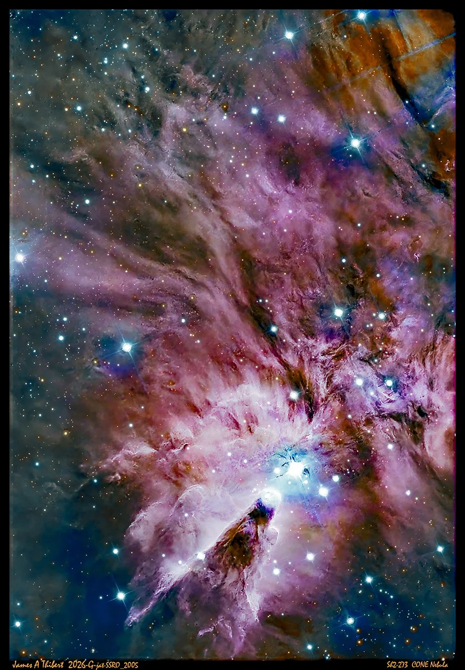 NGC2264-CONE