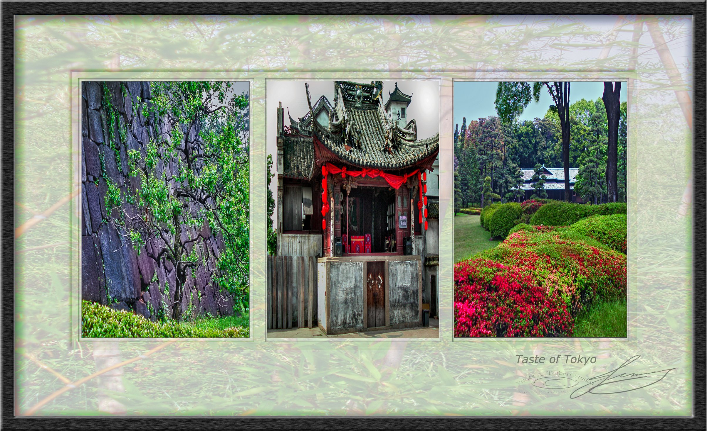 Bamboo_FRAME_triptyk-061206-V1-FRAME copy.jpg