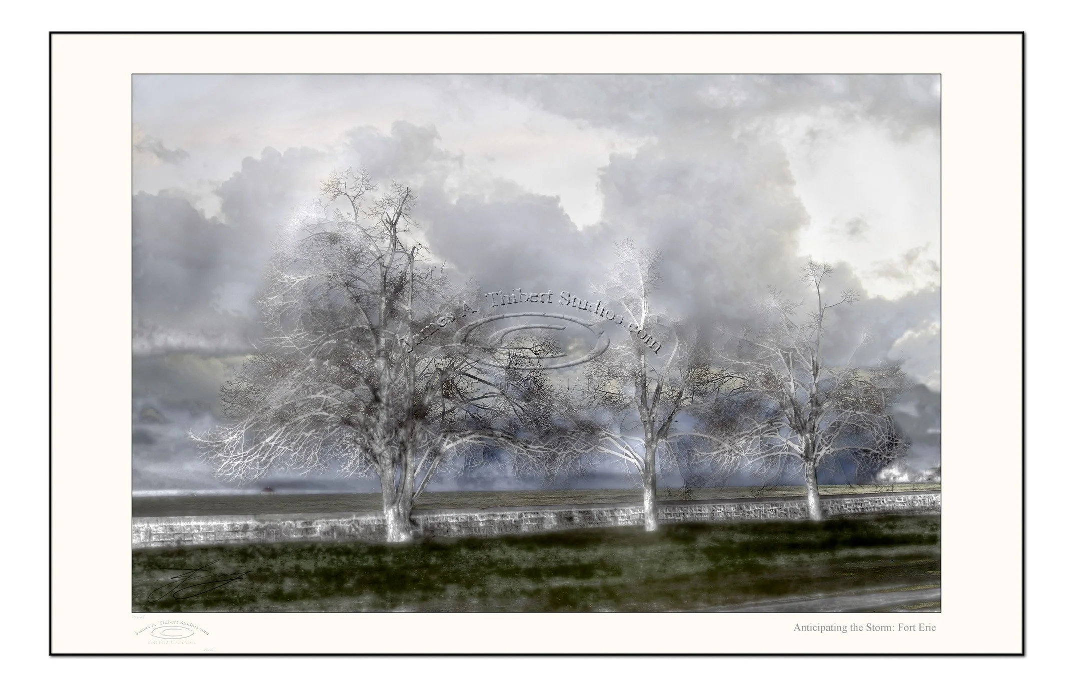 AnticiptingStorm-NPC_MG_3562-070109-V1_RGB-V2_frame_prepress.jpg