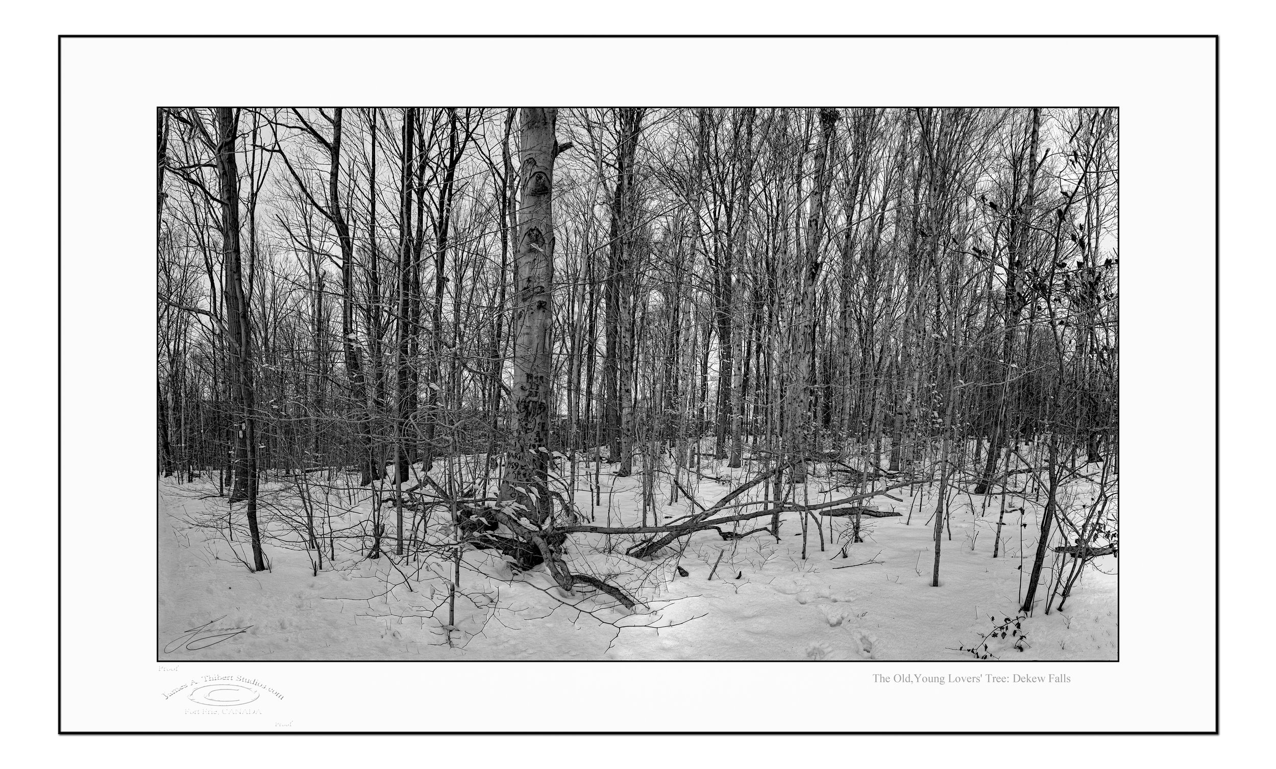 LoversTree-Dekew-mosaic-070303-V3_Frame copy.jpg