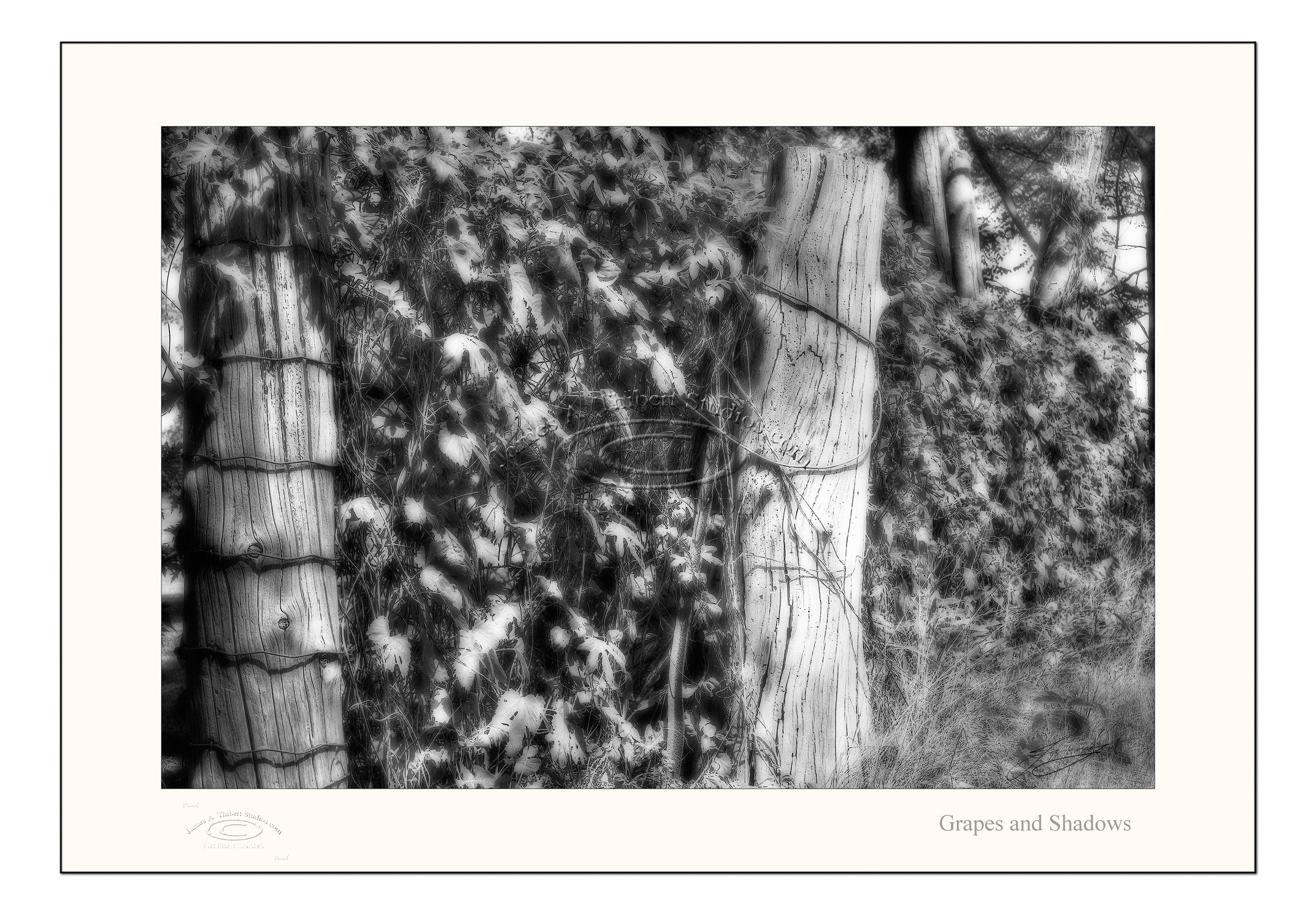 TwoPosts_MG_0143-B&W-200XPZoom-Frame_Prepress.jpg