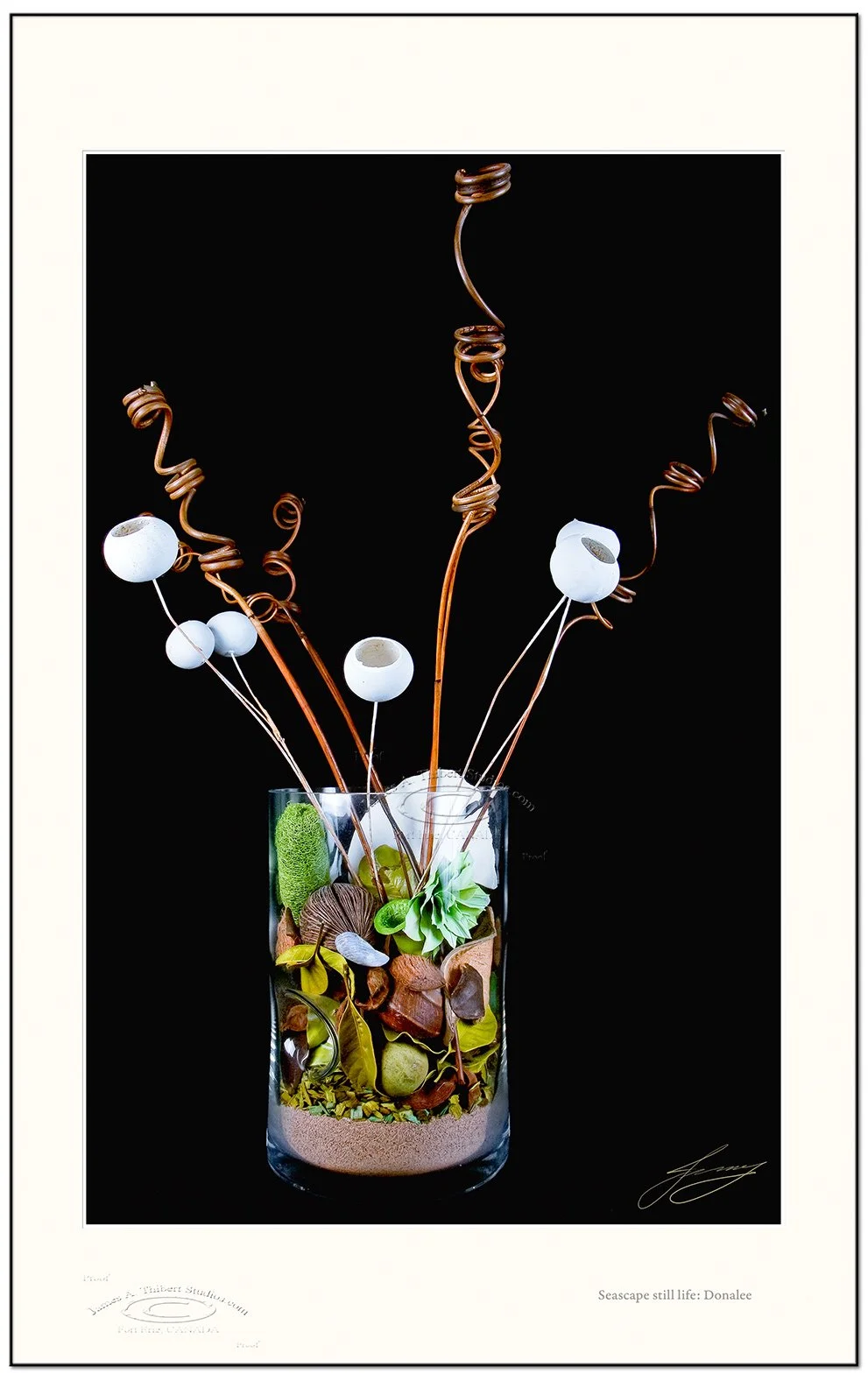 Seascape-stilllife-1-_30-080210-Frame-prepress.jpg
