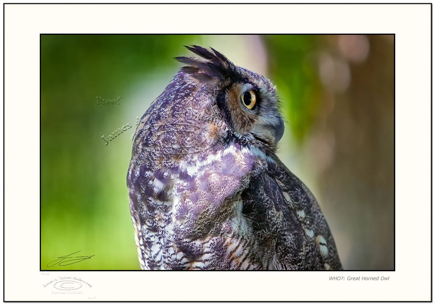 WHO_GHOwl-Portrait-Right115_8994-070918_Frame-prepress.jpg