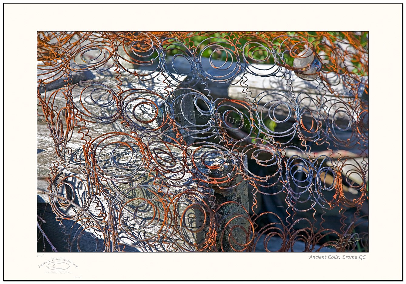AncientCoils_100_0913-070916_v1_Frame-prepress.jpg