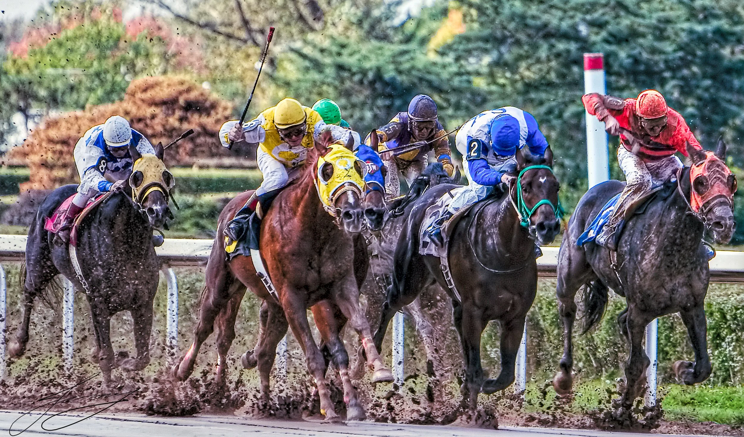 6Horse-race5_MG_1070-FortErieDowns_061205_v1_FRAME-prepress-fixed copy.jpg