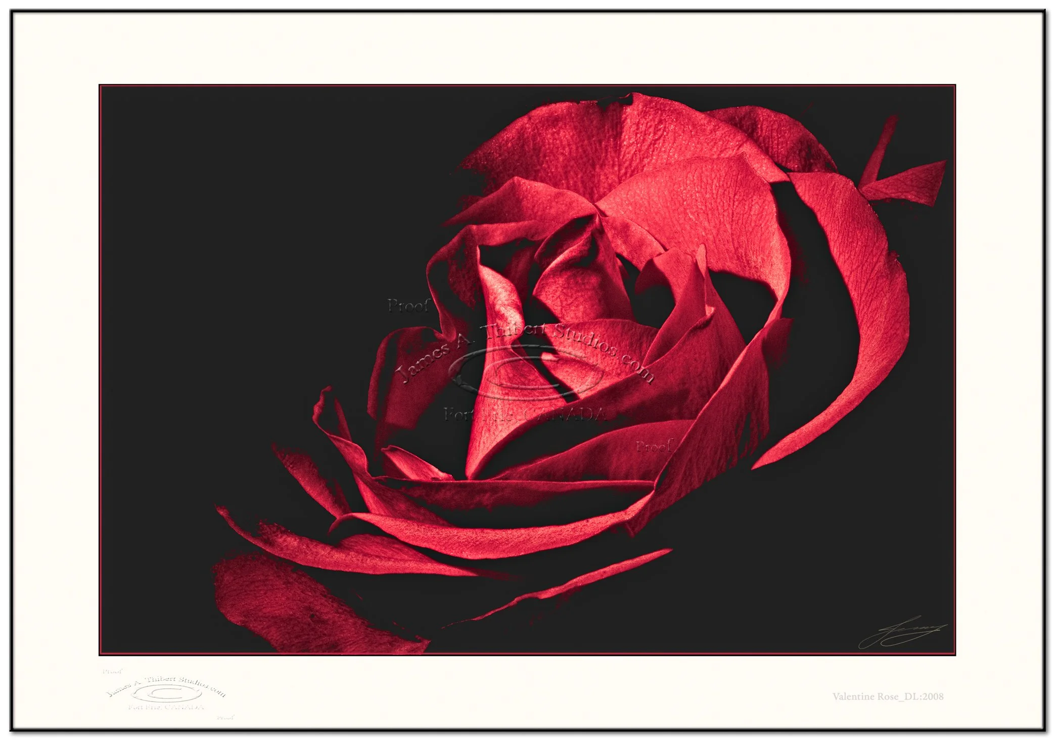 Valentine_Rose_MG_2076-080217_Frame_prepress-18x12.jpg