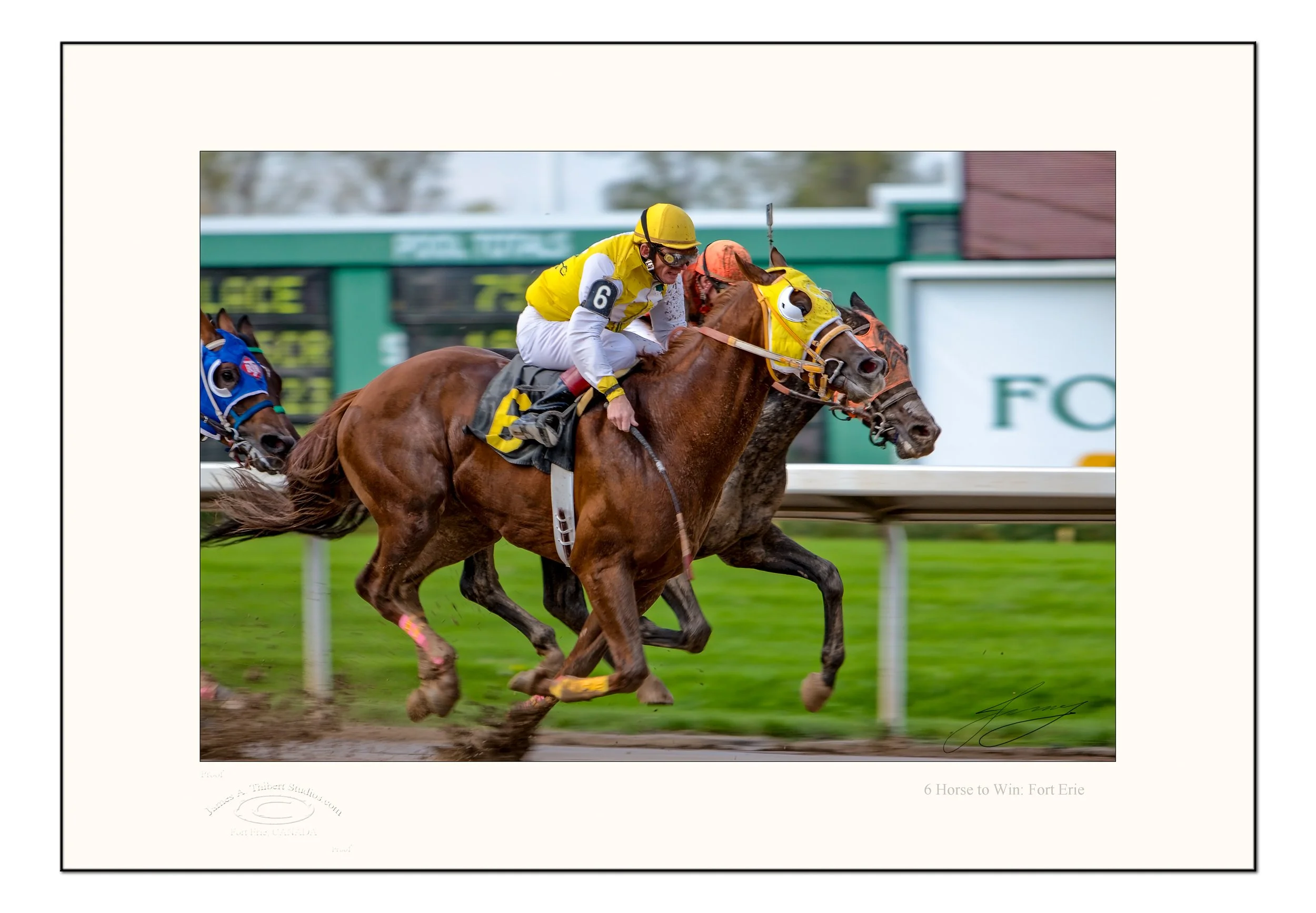 Triptic-Track_MG_1075_9HorseFinish_070126-V1-FRAME copy.jpg