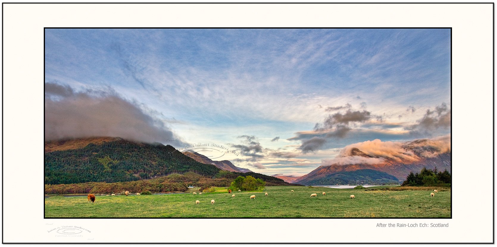 Loch_Ech_cattle-sheep-100_1351-071114-V1-Frame-prepress.jpg