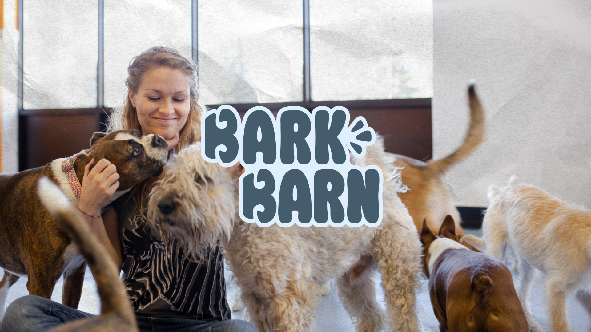 The Bark Barn