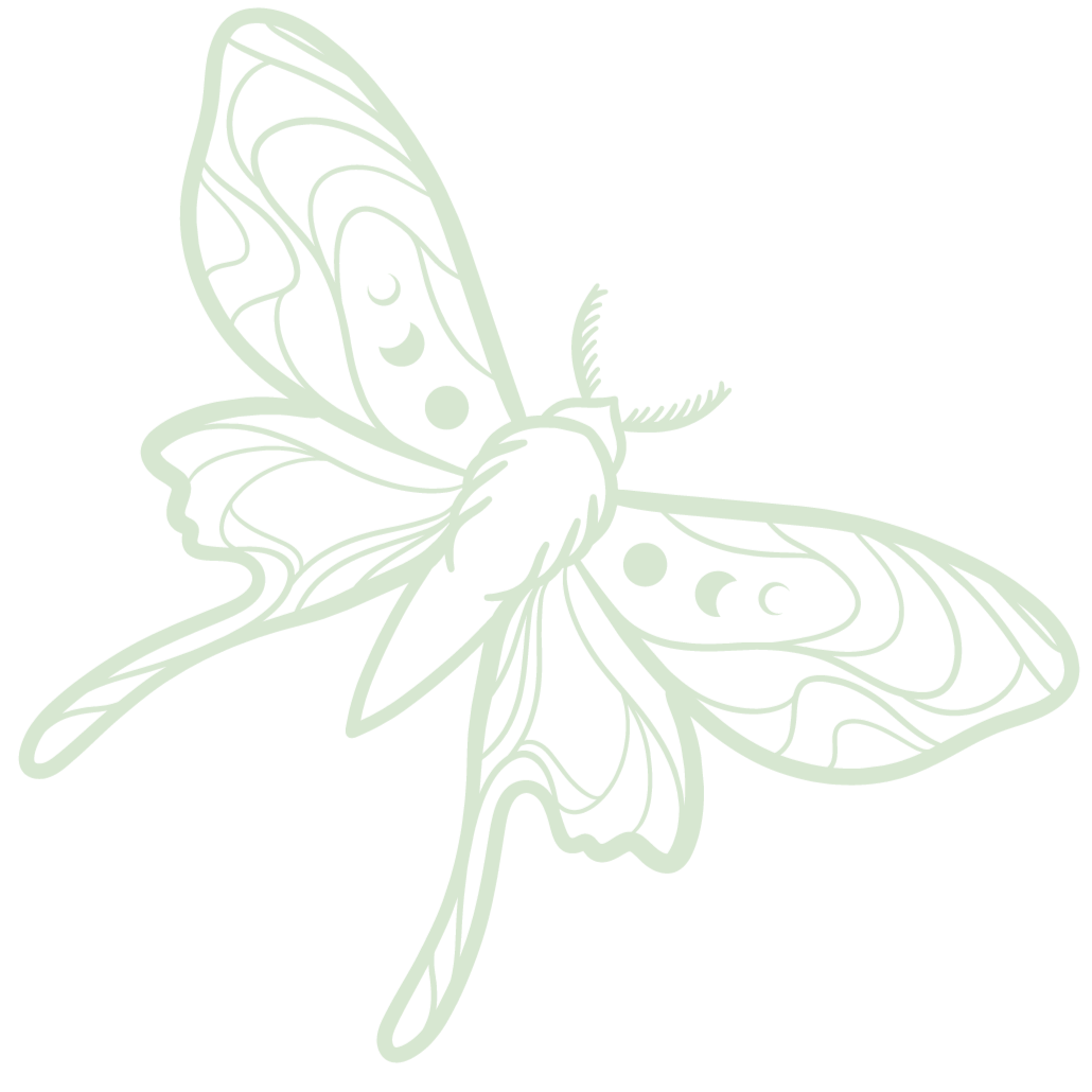 Outline drawing of a butterfly with detailed wings.