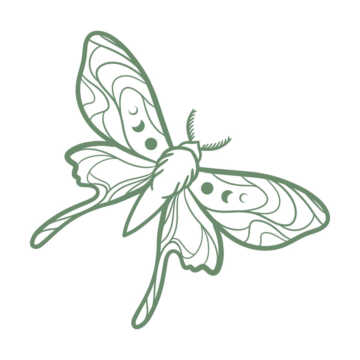 Line drawing of a moth with decorative patterns on its wings against a black background.