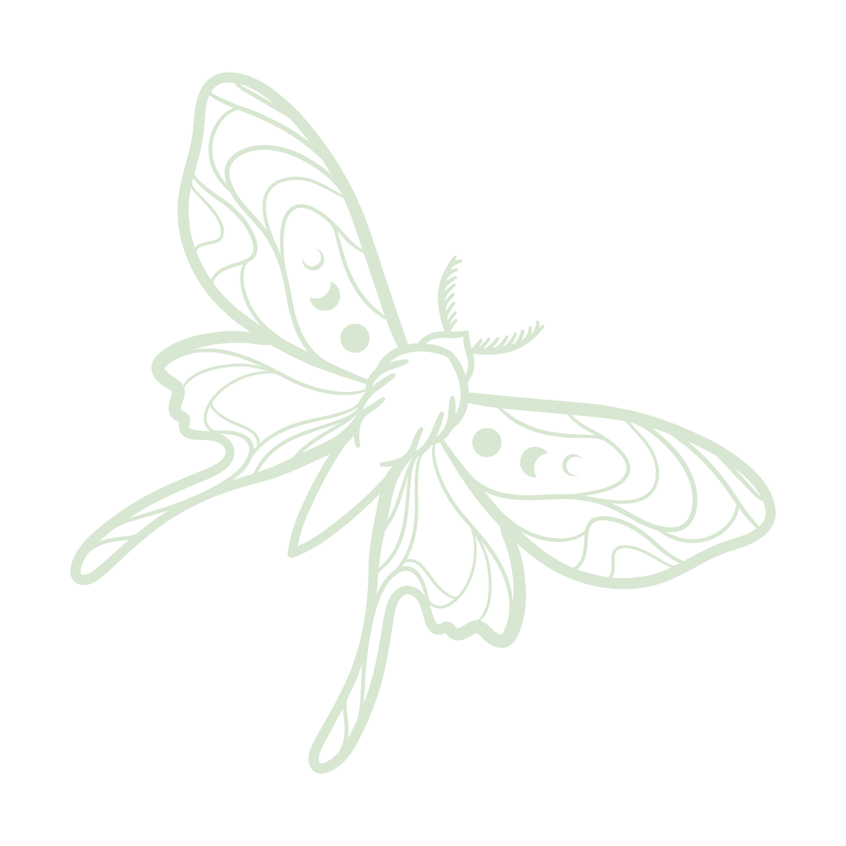 Line art illustration of a butterfly with detailed wings, body, and antennae on a black background.