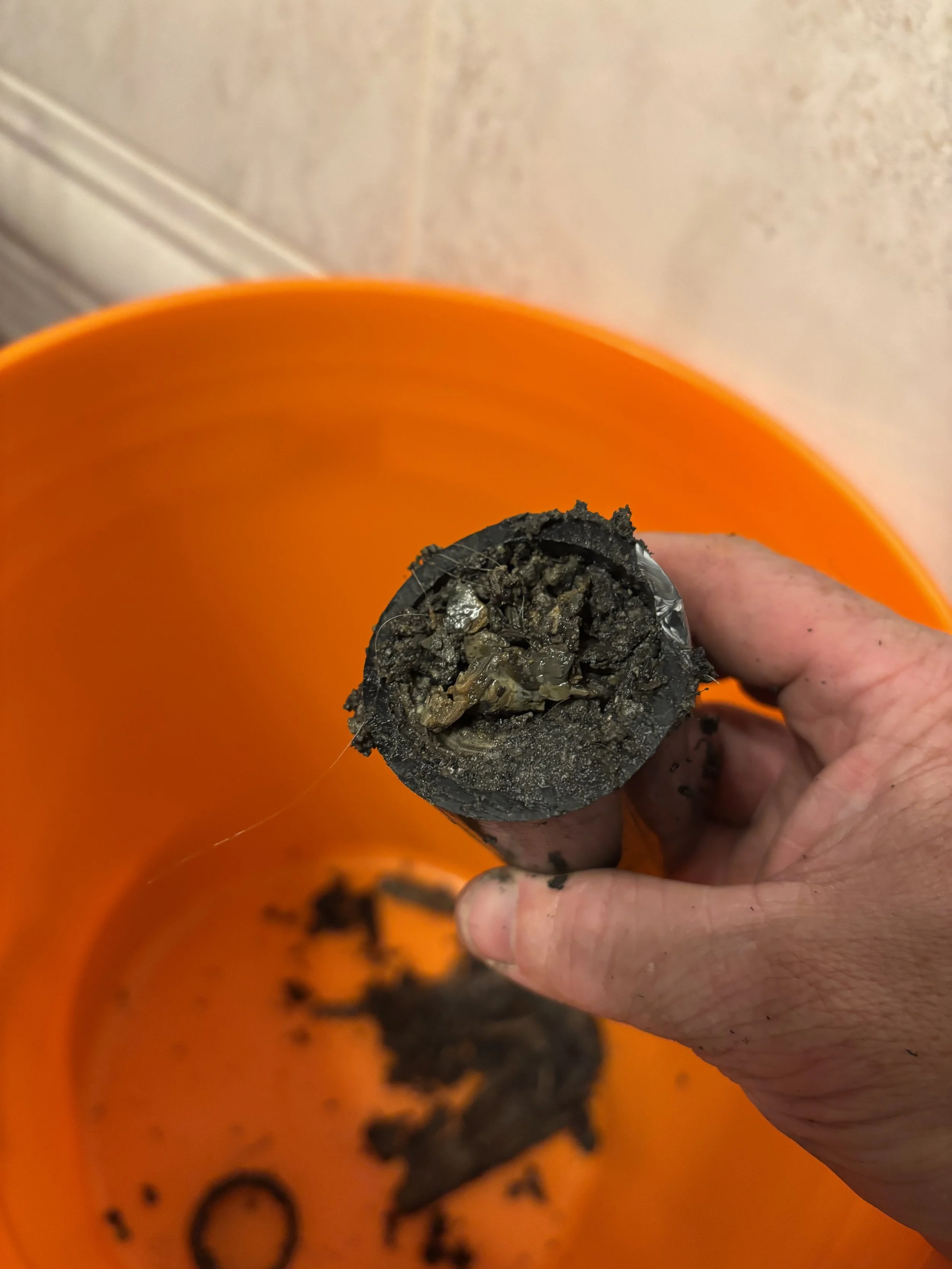 Why Does My Drain Keep Clogging?