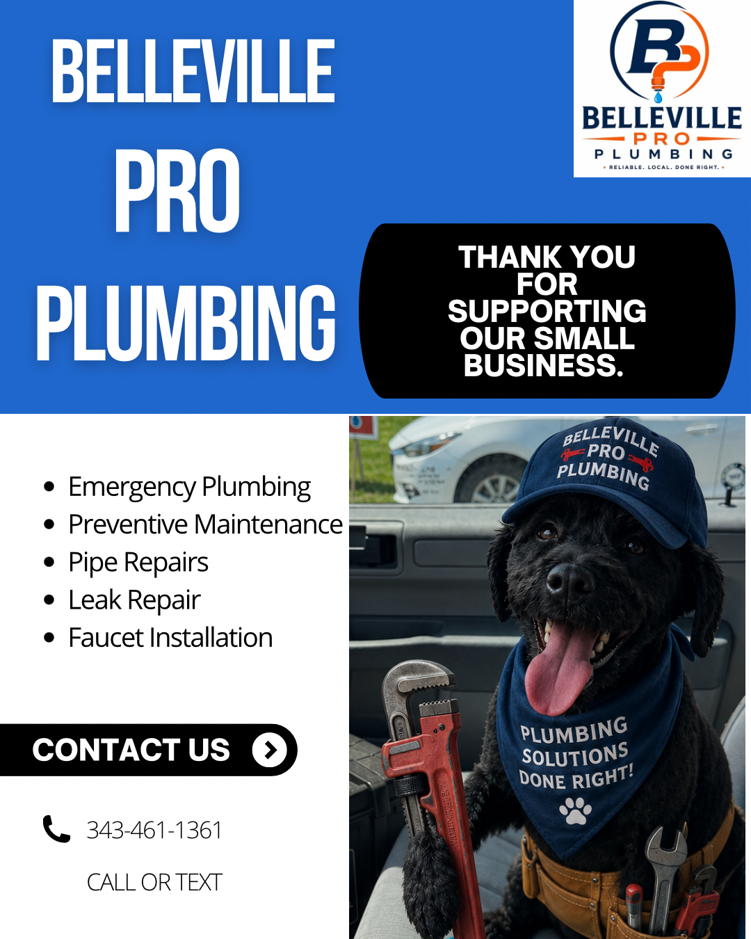 Belleville Pro Plumbing is Fergus Approved! The Plumbing Pup!