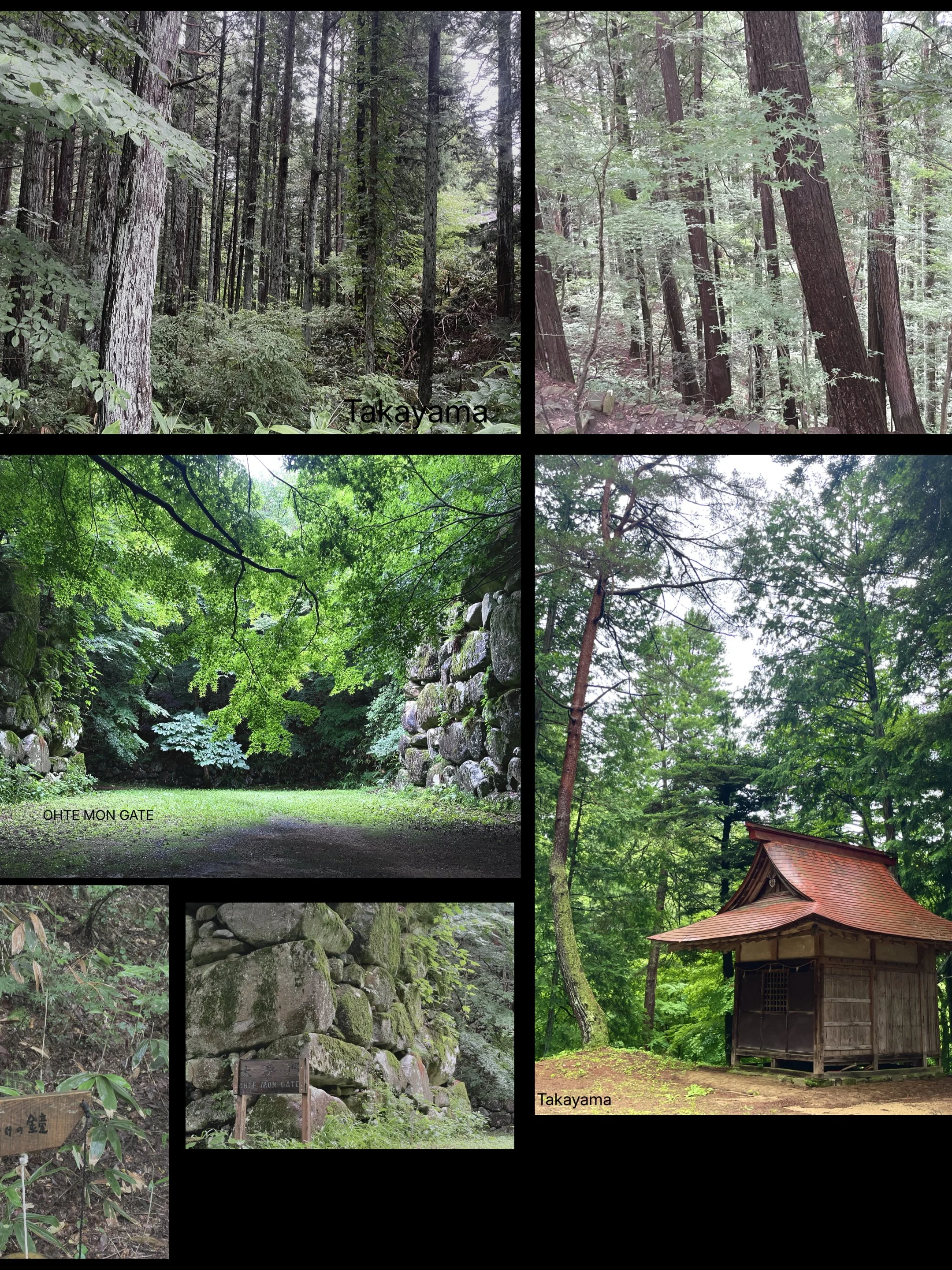 Japan Diaries