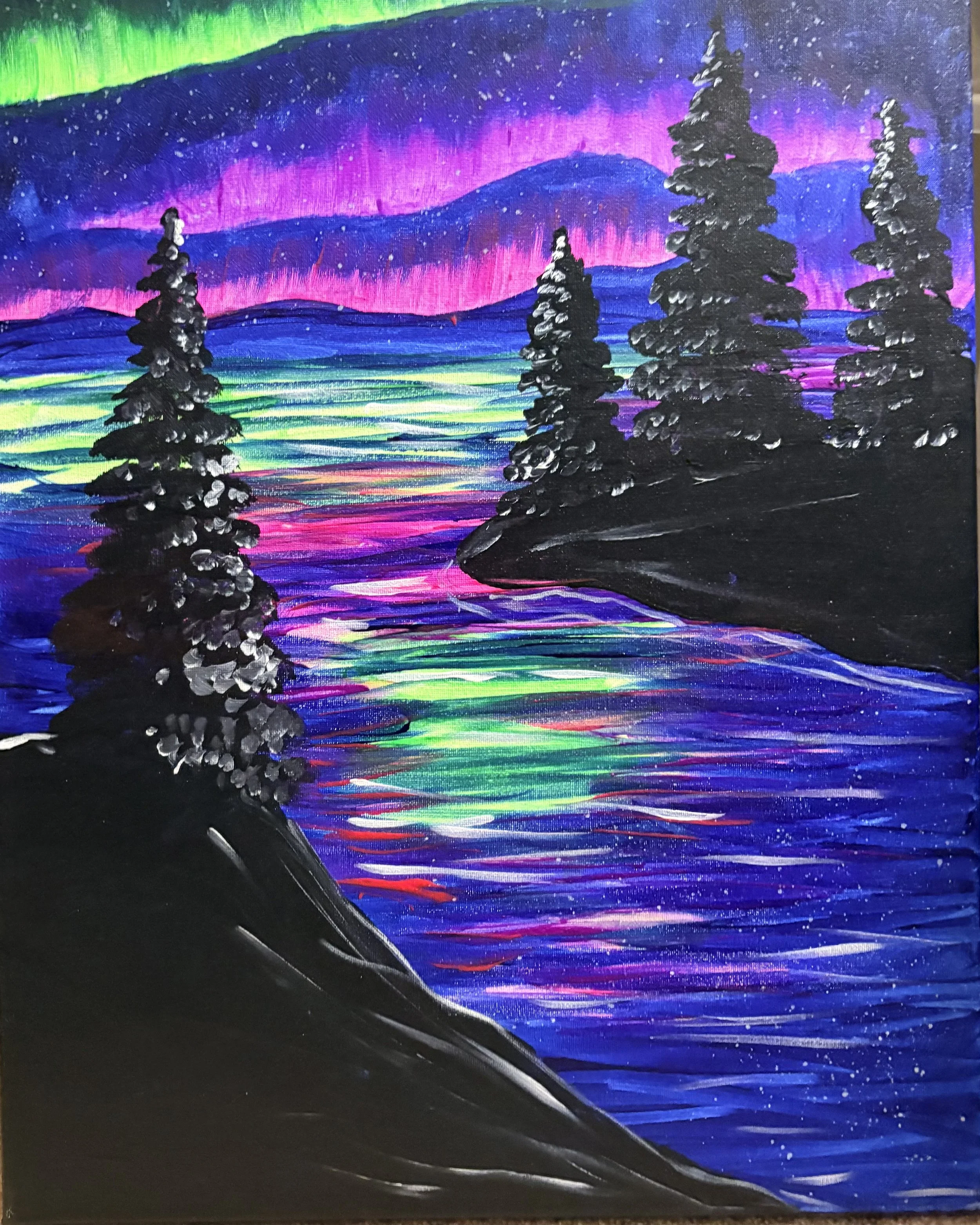 Northern Lights Over the Lake