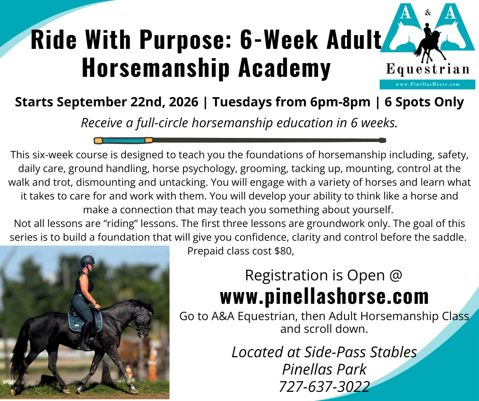 Facebook Horse Ads (2).png