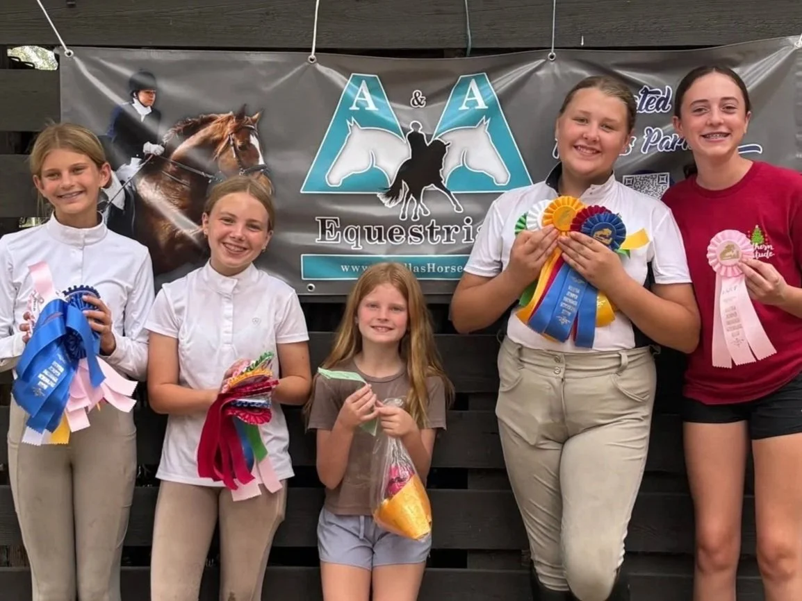 Horseback riding lessons for children and adults in Pinellas Park, FL