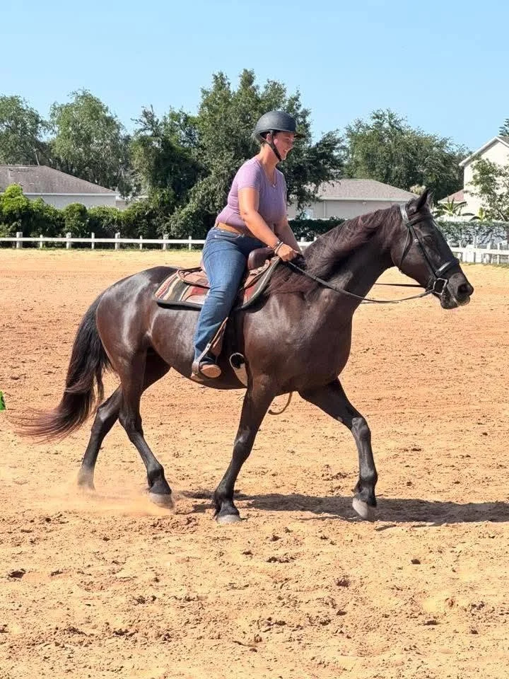 A woman riding a dark brown horse on a sandy outdoor riding arena, wearing a black helmet and casual clothes, with houses and trees in the background on a sunny day.