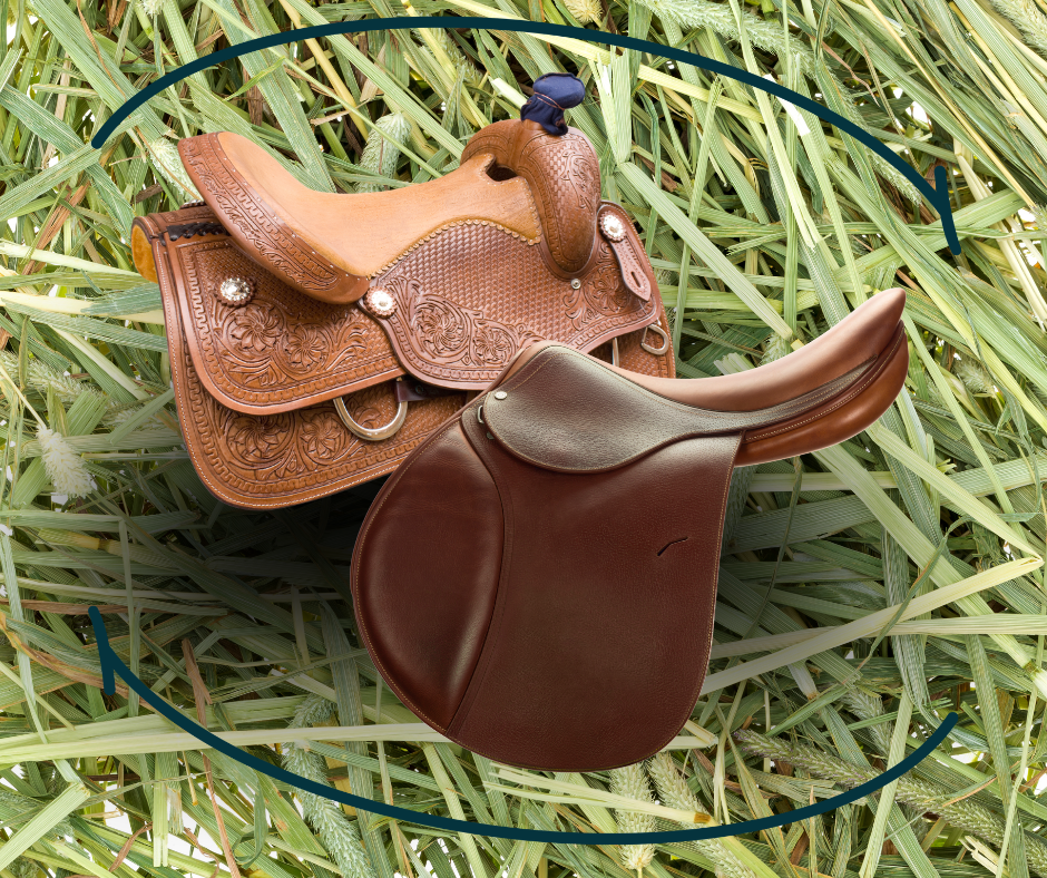 Pinellas Feed &amp; Tack Stores