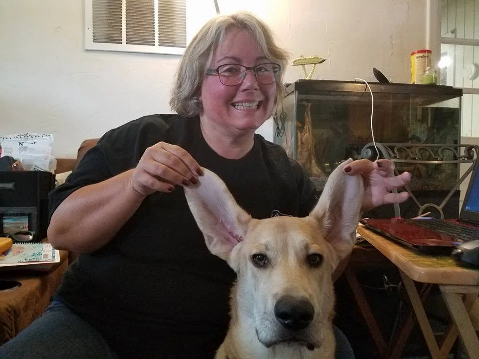 Pet Sitting