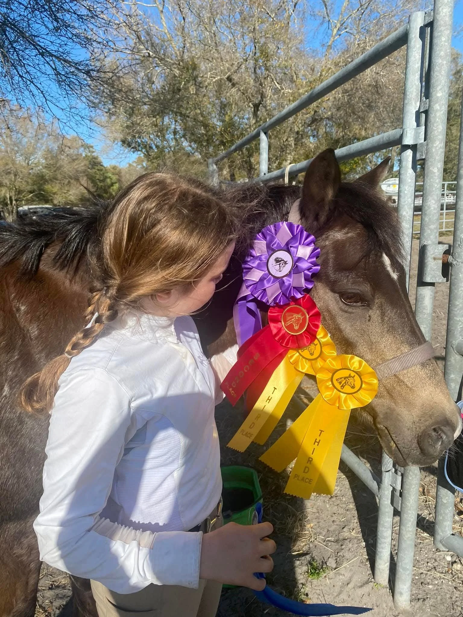 Pony at Horse Show
