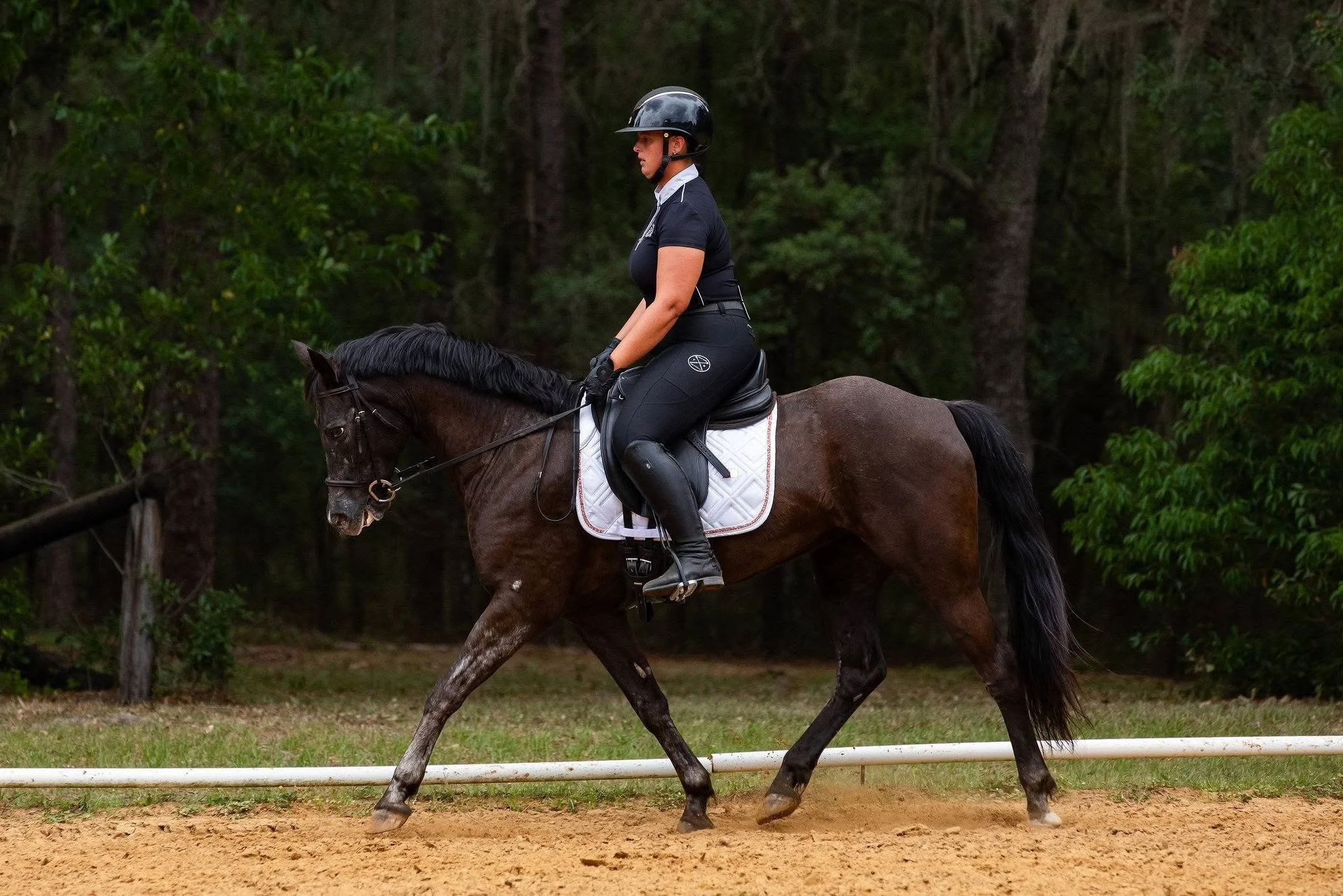 A woman riding a dark brown horse outdoors in a sandy riding arena surrounded by trees, wearing black riding helmet, black riding gloves, and black riding gear, with a white saddle pad underneath the saddle.