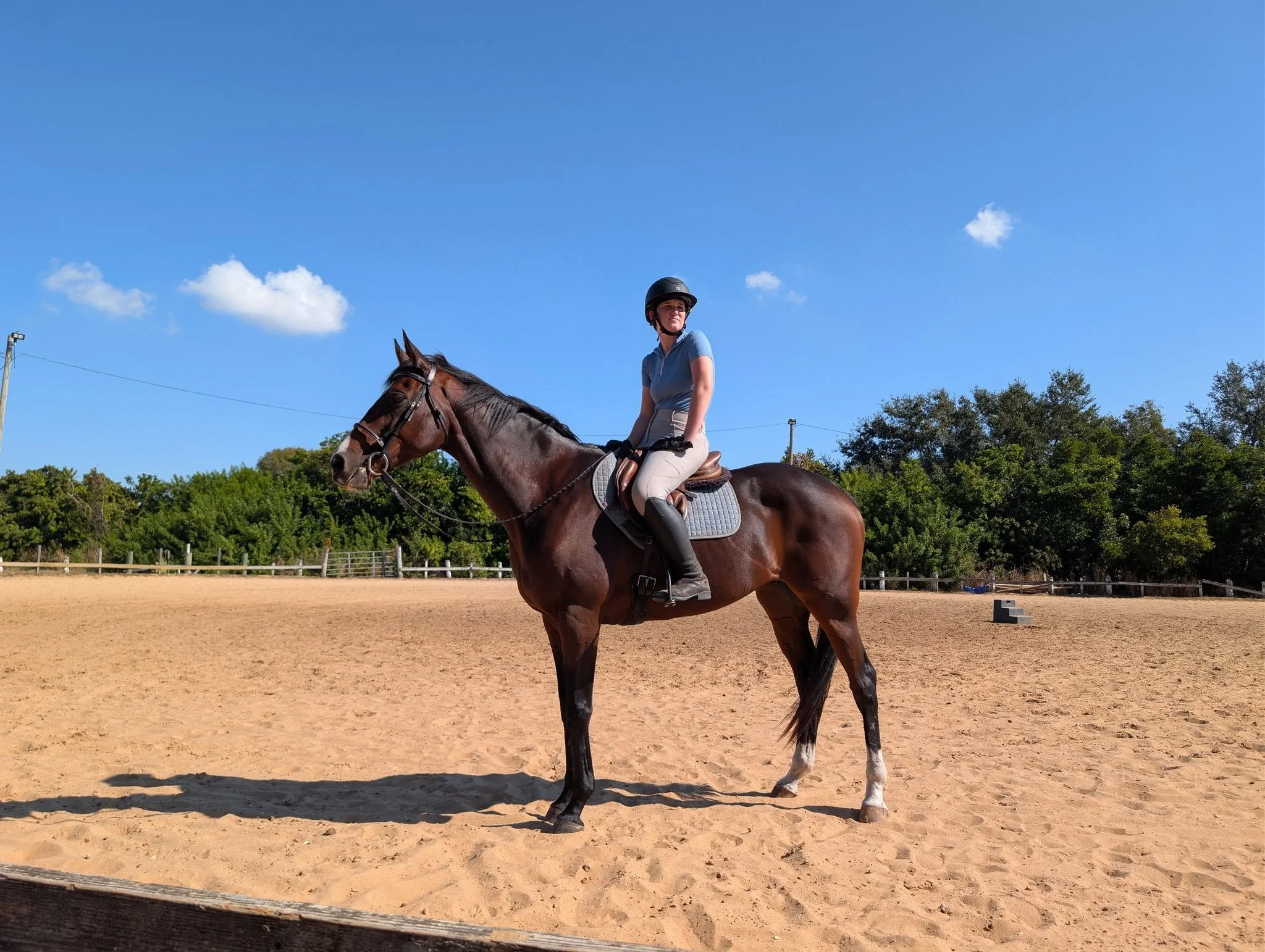 A woman riding a horse in an outdoor riding arena on a sunny day. She is wearing a black helmet, a light blue shirt, and riding gloves. The horse is brown with a white stripe on its face, and the background includes green trees under a clear blue sky.