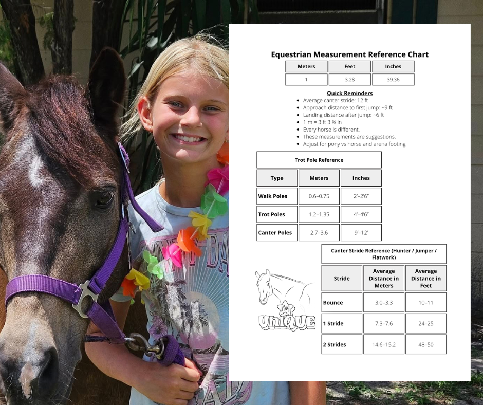 A young girl smiling and holding the reins of a gray horse with a purple halter, in front of a treed background, and an overlay of an equestrian measurement reference chart.